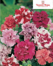 【tm種】最新最全tm種 產(chǎn)品參考信息